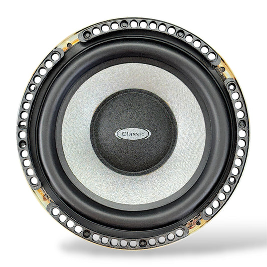 6.5 inch 50W 8ohm Sub Woofer and Speaker