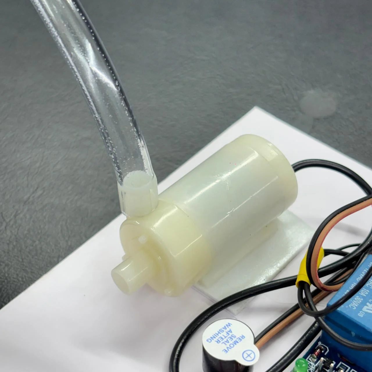 DIY Automatic Watering System Project without Arduino | Simple DIY Science Project for Students
